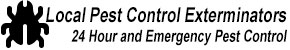 Big Bear City CA Pest Control Exterminators